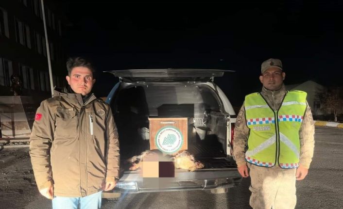 Van’da gece avcılığı yapan bir kişiye 15 bin 873 lira idari para cezası uygulanacak