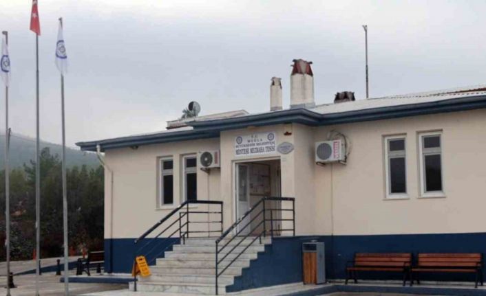 10 yılda 253 bin 359 hayvan kesildi