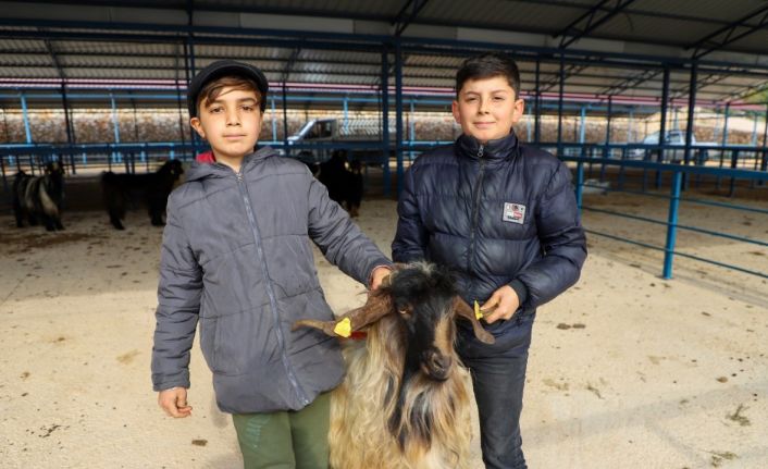 Alanya kurban pazarı açıldı