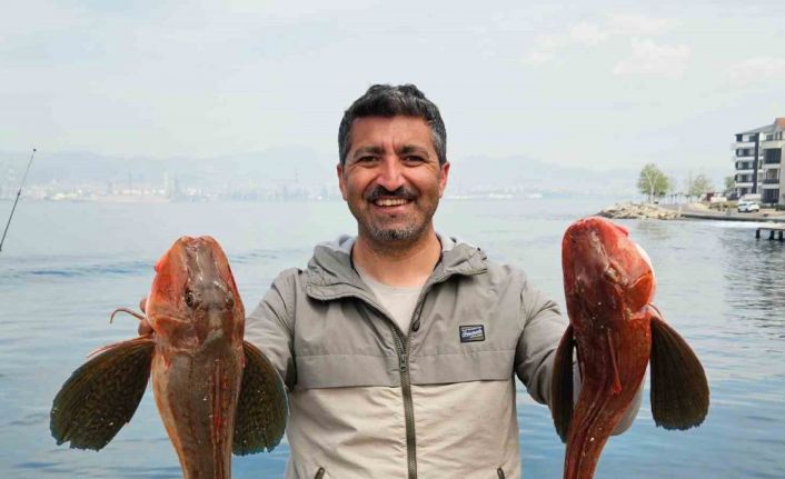 Amatör balıkçı toplam 6 buçuk kiloluk 2 balık yakaladı, o anlar kamerada