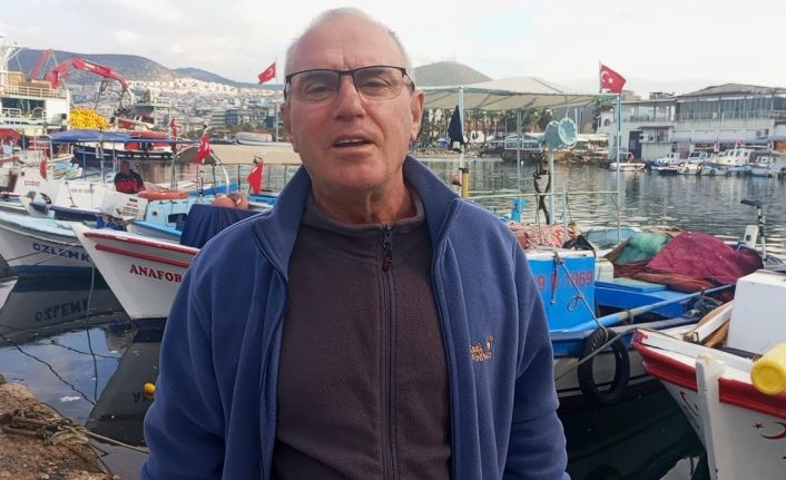 Balıkçının dikkati 2 carettayı kurtardı