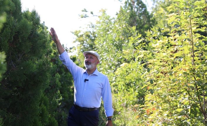 Başkan Çolakbayrakdar, “Yeşil alanda da rekor üstüne rekor kırdık”