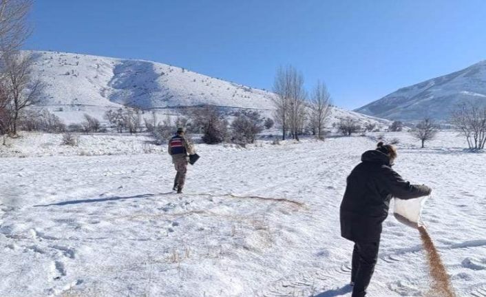 Bitlis’te yaban hayvanları için doğaya yem bırakıldı
