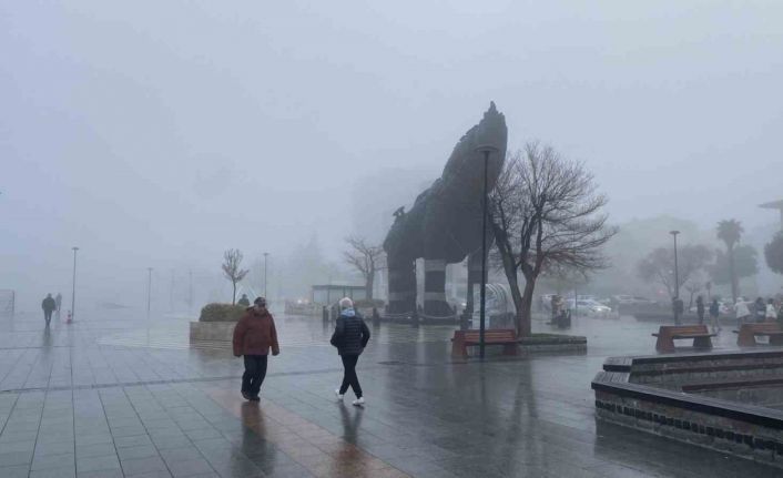 Çanakkale Boğazı sis nedeniyle transit gemi geçişlerine kapatıldı, feribot seferleri geçici olarak durduruldu