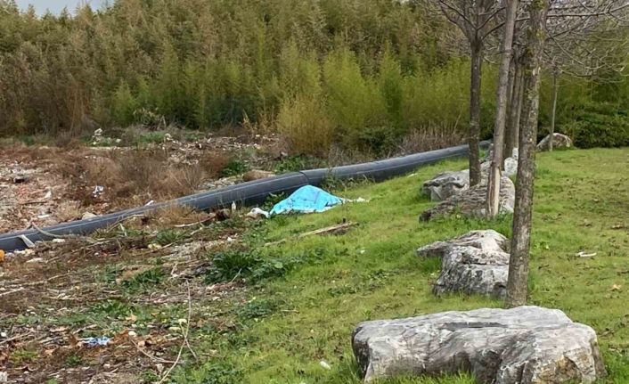 Denizde elleri ve ayakları bağlanmış erkek cesedi bulundu