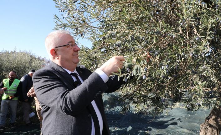 Edremit Belediye Başkanı Mehmet Ertaş “Tek bir zeytin tanesi heba olmuyor”