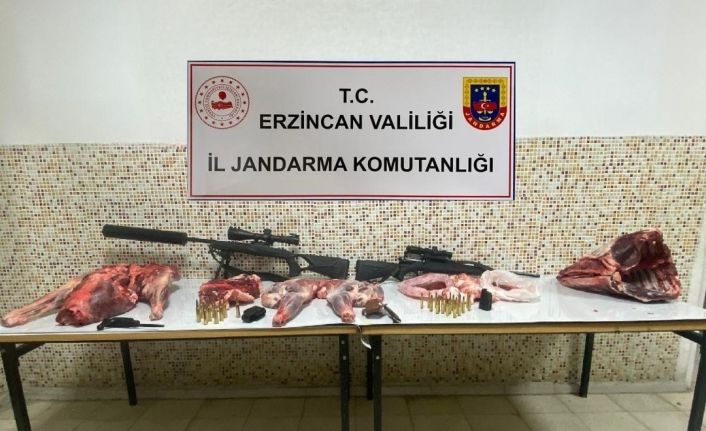 Erzincan’da susturucu kullanarak dağ keçilerini kaçak avlayan 4 kişiye 692 bin 192 TL ceza kesildi