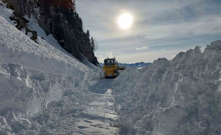 Kar nedeniyle ulaşıma kapanan Artvin’in Macahel Geçidi’nde yol açma çalışmaları 10 gündür devam ediyor
