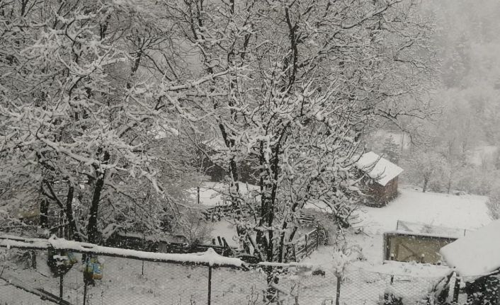 Kastamonu’da kar yağışı etkili oldu