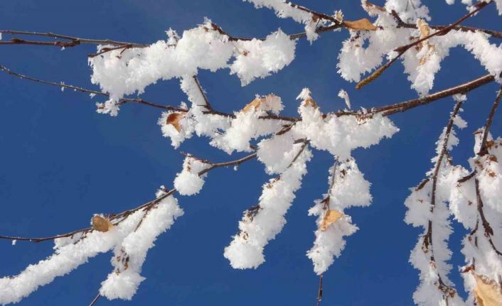 Kırağı tutan ağaçlar kartpostallık görüntüler oluşturdu