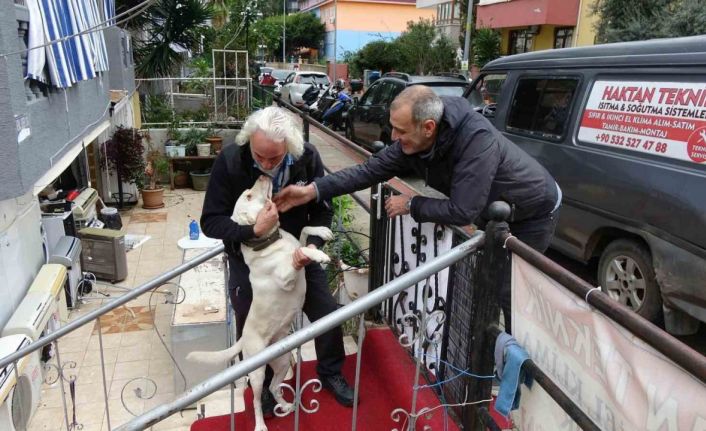 Komşuların rahatsız olduğu labrador cinsi köpek için sahibinden pankartlı tepki