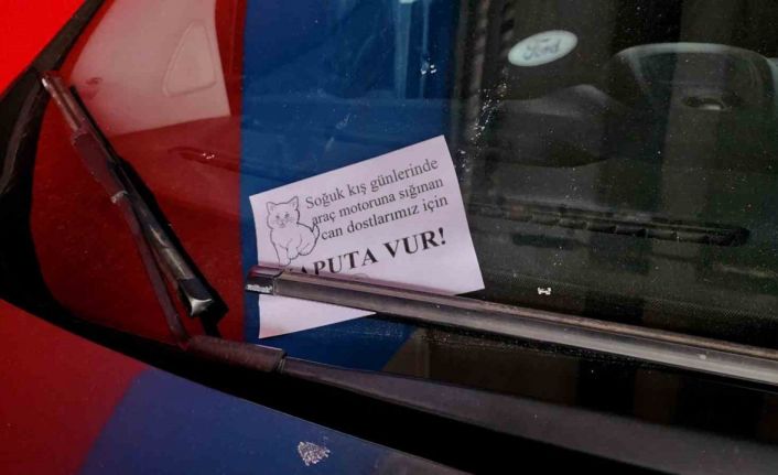 Lise öğrencileri ‘Kaputa Vur’ farkındalık eğitimi gerçekleştirdi