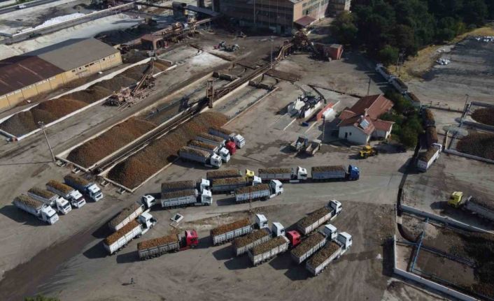 Malatya Şeker Fabrikası’nda 470 bin ton pancar işlendi