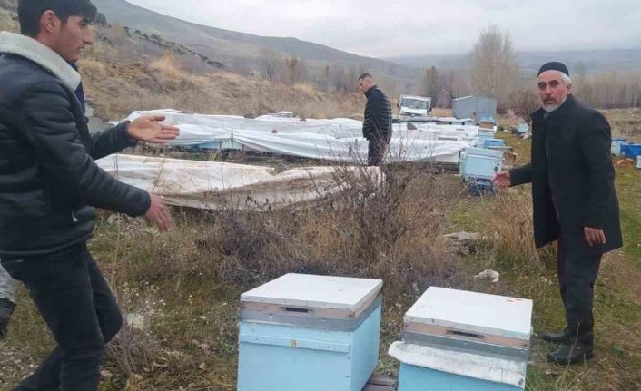 Muradiye’de ayılar kovanlara ve kümes hayvanlarına saldırdı