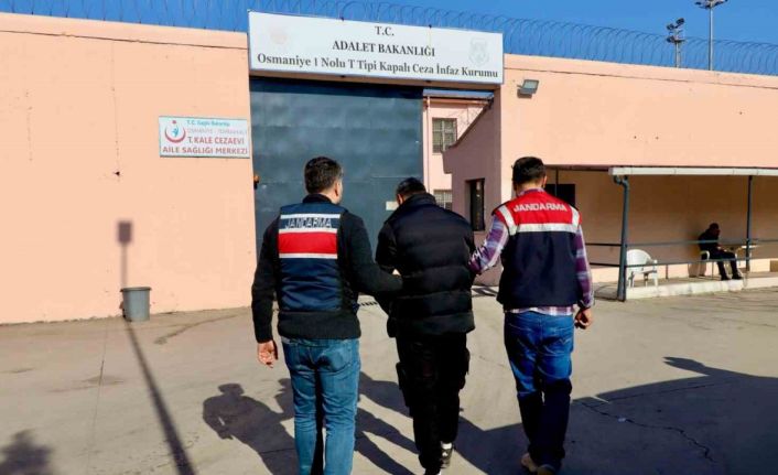 Osmaniye’de El Kaide operasyonu: 1 tutuklama