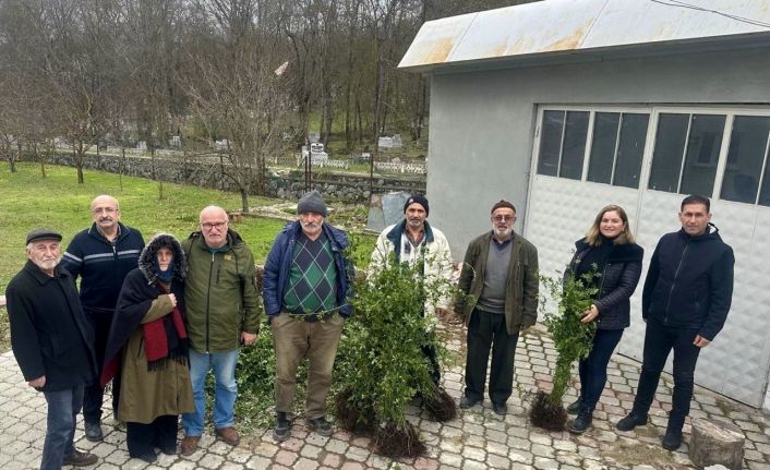 Samsun tarımında “Yeşil Yoldan Yeşil Bahçelere Projesi”