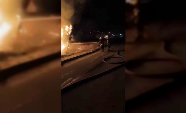 Tarsus’ta aydınlatma direğine çarpan otomobil alev alev yandı