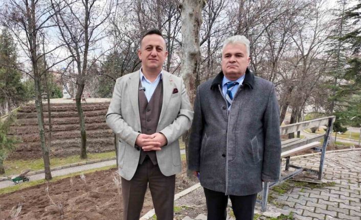 Turhal Belediyesi, parkı lavanta bahçesine dönüştürerek estetik ve ekonomik katkı sağlayacak