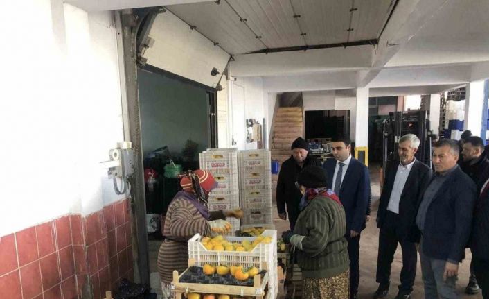 Türkiye’nin dört bir yanına bu soğuk hava deposundan meyveler gidiyor