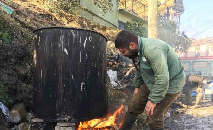 Ustalardan zeytinyağına kozmetik dokunuş