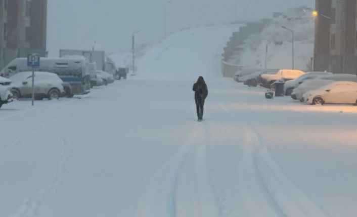 Yüksekova’da lapa lapa kar yağışı başladı