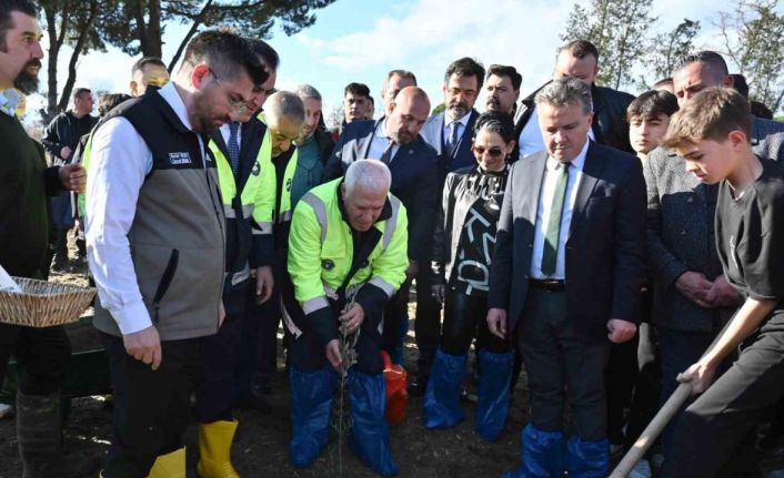 Zeytin fidanları toprakla buluştu