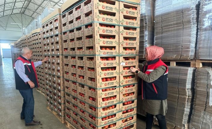 23 ülkeye 8 bin 700 ton domates ihracatı gerçekleştirildi
