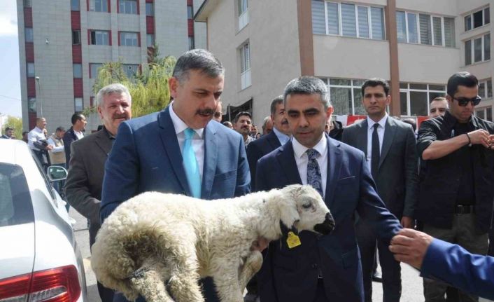 7 bin 311 araçta 257 bin hayvana kontrol