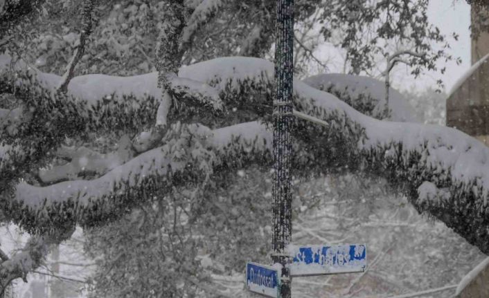 ABD’de kar fırtınası: 4 ölü