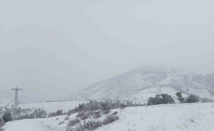 Adana’nın yüksek kesimlerinde kar yağışı etkili oldu