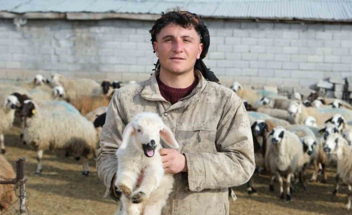 Annesinin reddettiği engelli kuzuya evde bebek gibi bakılıyor