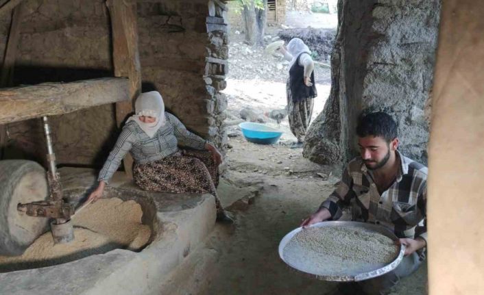 Bitlis’te asırlık su değirmenlerinde çeltikler pirinç haline getiriliyor