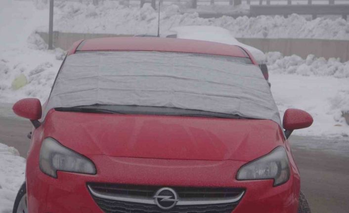 Bitlis’te sis ve dondurucu soğuklar