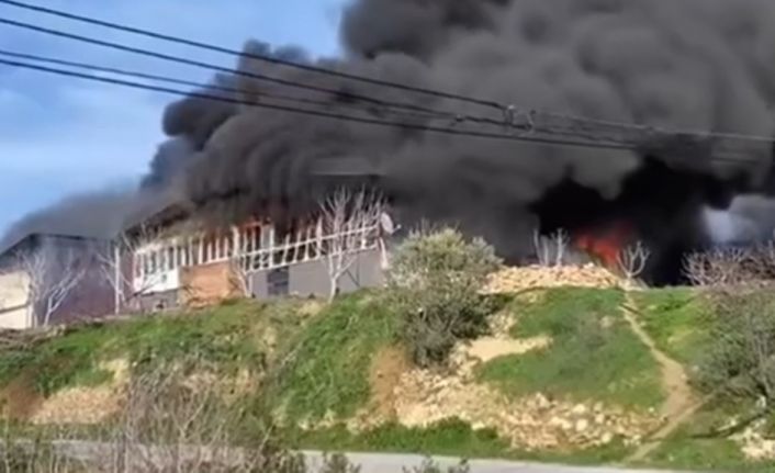 Bozdoğan’da iş yeri yangını