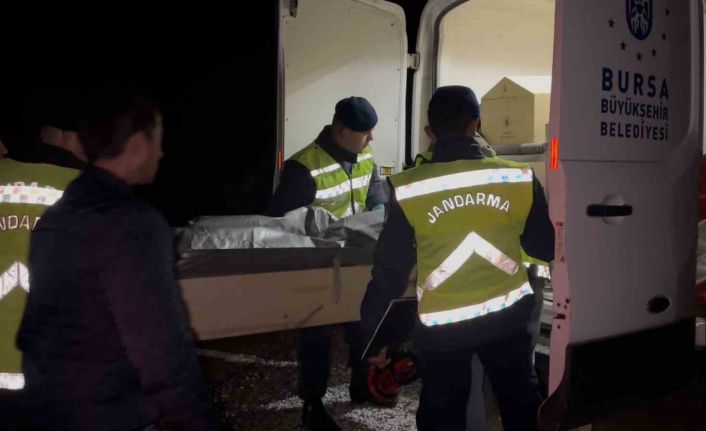 Bursa’da aranan 18 yaşındaki gencin cesedi ormanda yanmış halde bulundu