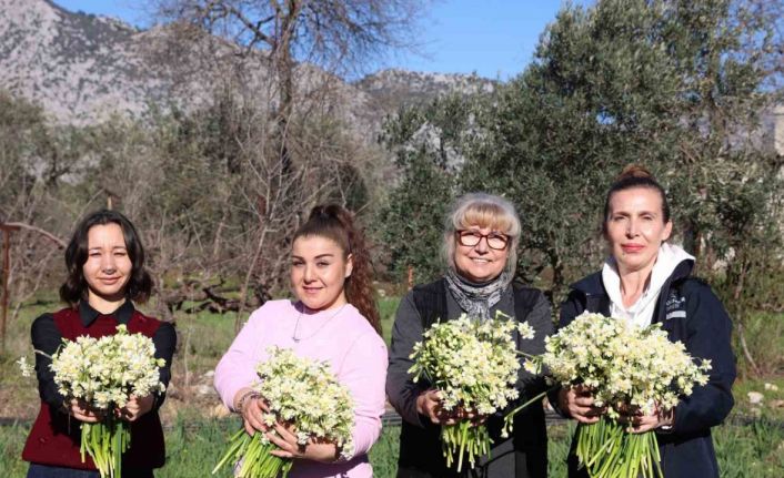 Büyükşehirden kadın üreticilere mis kokulu destek