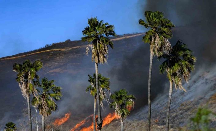 California’da çıkan yeni yangın kontrol altına alındı, 1 kişi gözaltında