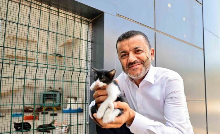 Denizli Büyükşehir 2024 yılında 24 bin 179 can dostu sağlığına kavuşturdu