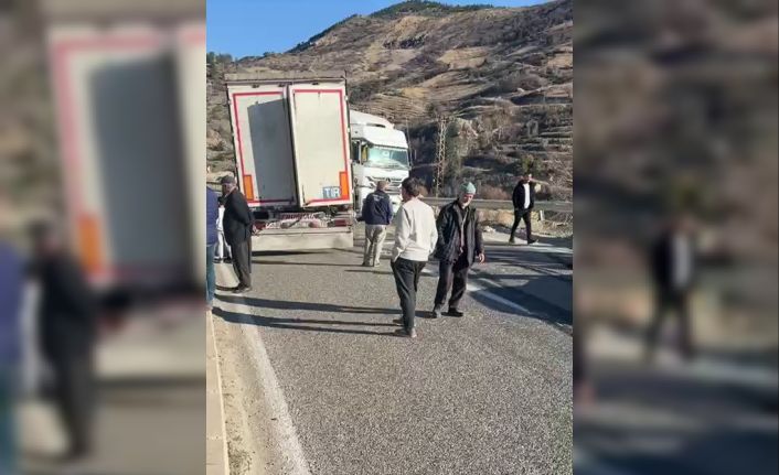 Direksiyonu kilitlenen tır yolu kapattı