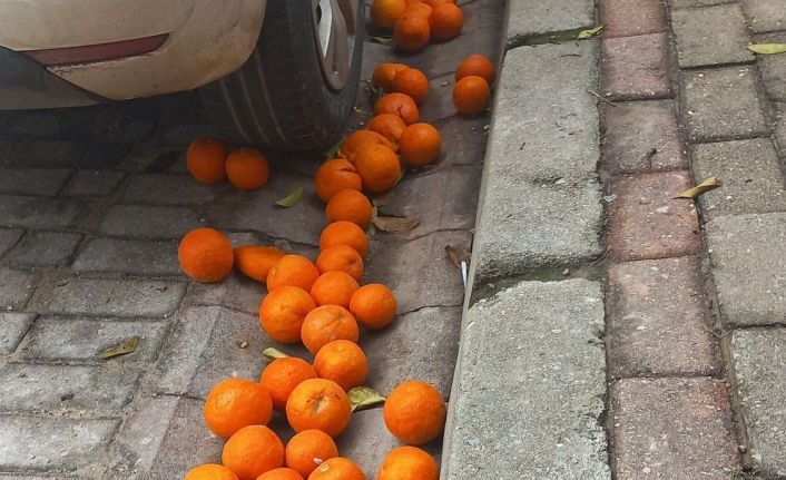 Efeler’in simgesi turunçlar çürümeye terk edildi