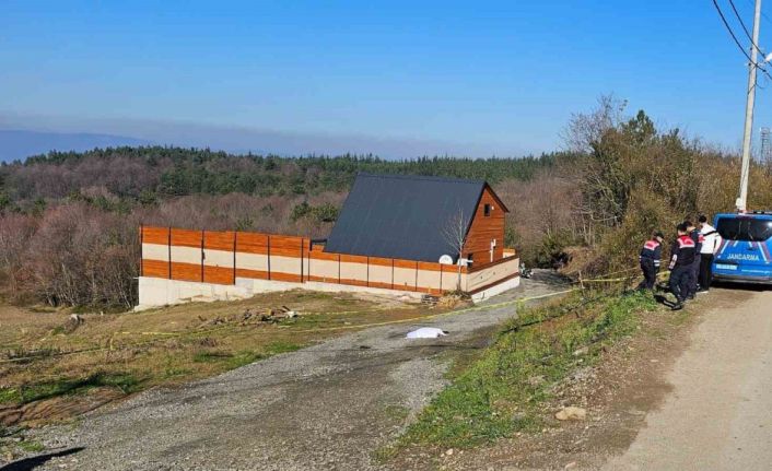 Emekli polis tartıştığı kardeşini beylik tabancasıyla vurarak öldürdü