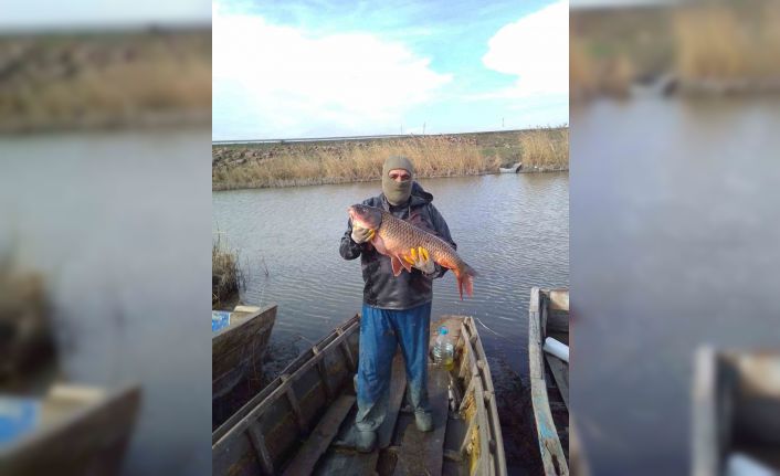 Enez’de ağlara 18 kiloluk sazan balığı takıldı