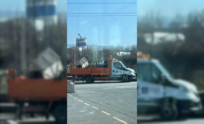 EOSB Müdürlüğü sokak hayvanlarına savaş açtı