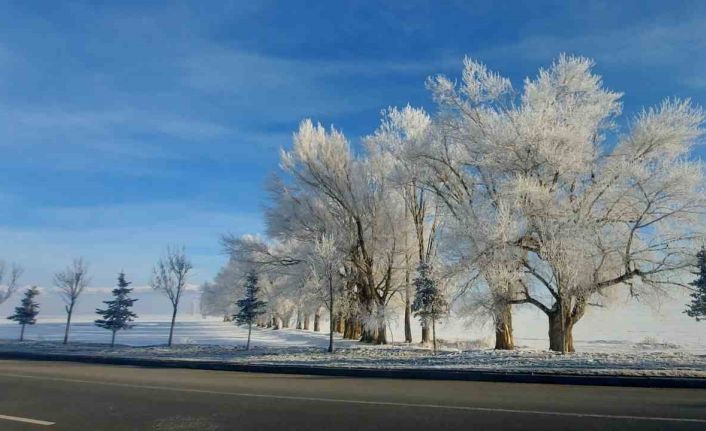 Erzurum Ovası eksi 24 ile buz kesti
