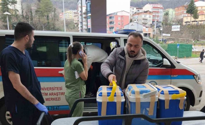 Giresun’da beyin ölümü gerçekleşen tiyatro sanatçısının organları 4 kişiye umut oldu