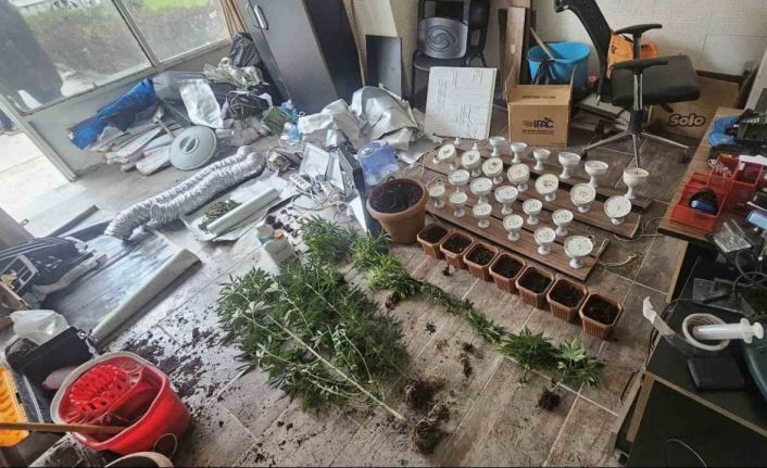 İş yerinde esrar yetiştiren kişi tutuklandı