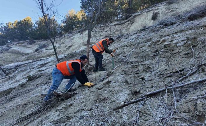 Isparta Belediyesi’nden Gölcük Tabiat Parkı’na destek: 10 bin akasya fidanı dikiliyor