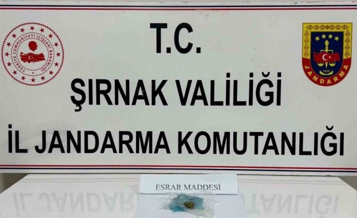 Jandarma yaklaşık 4 milyon liralık kaçakçılığı önledi: 43 gözaltı