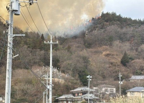 Japonya’da orman yangını: 150 kişi tahliye edildi