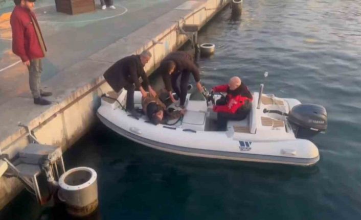 Kadıköy’de denize düşen alkollü olduğu iddia edilen vatandaştan ilginç cevap: "Allah beni boğmuyor”